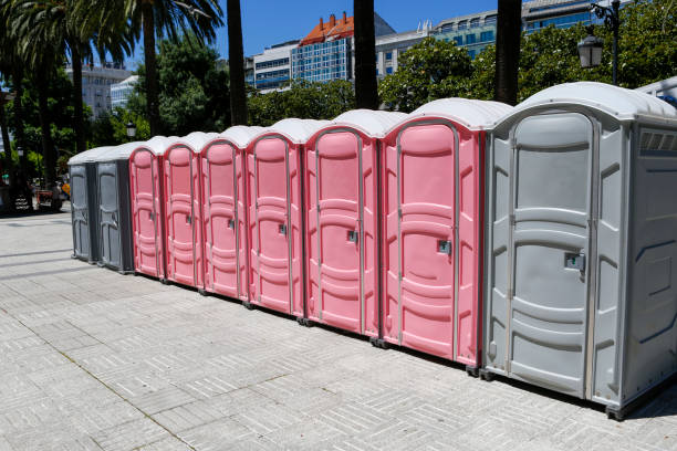 Professional Portable Potty Rental in De Soto, MO